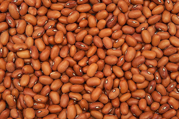 BROWN BEANS