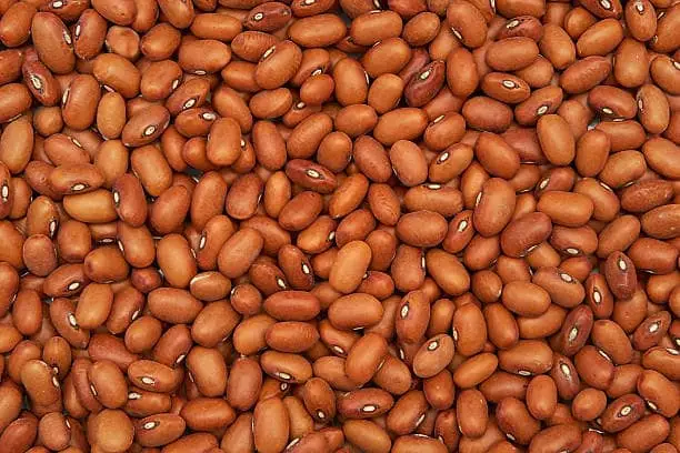 BROWN BEANS