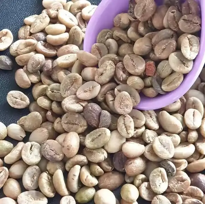 Arabica Grade 1 Green Beans Premium Quality