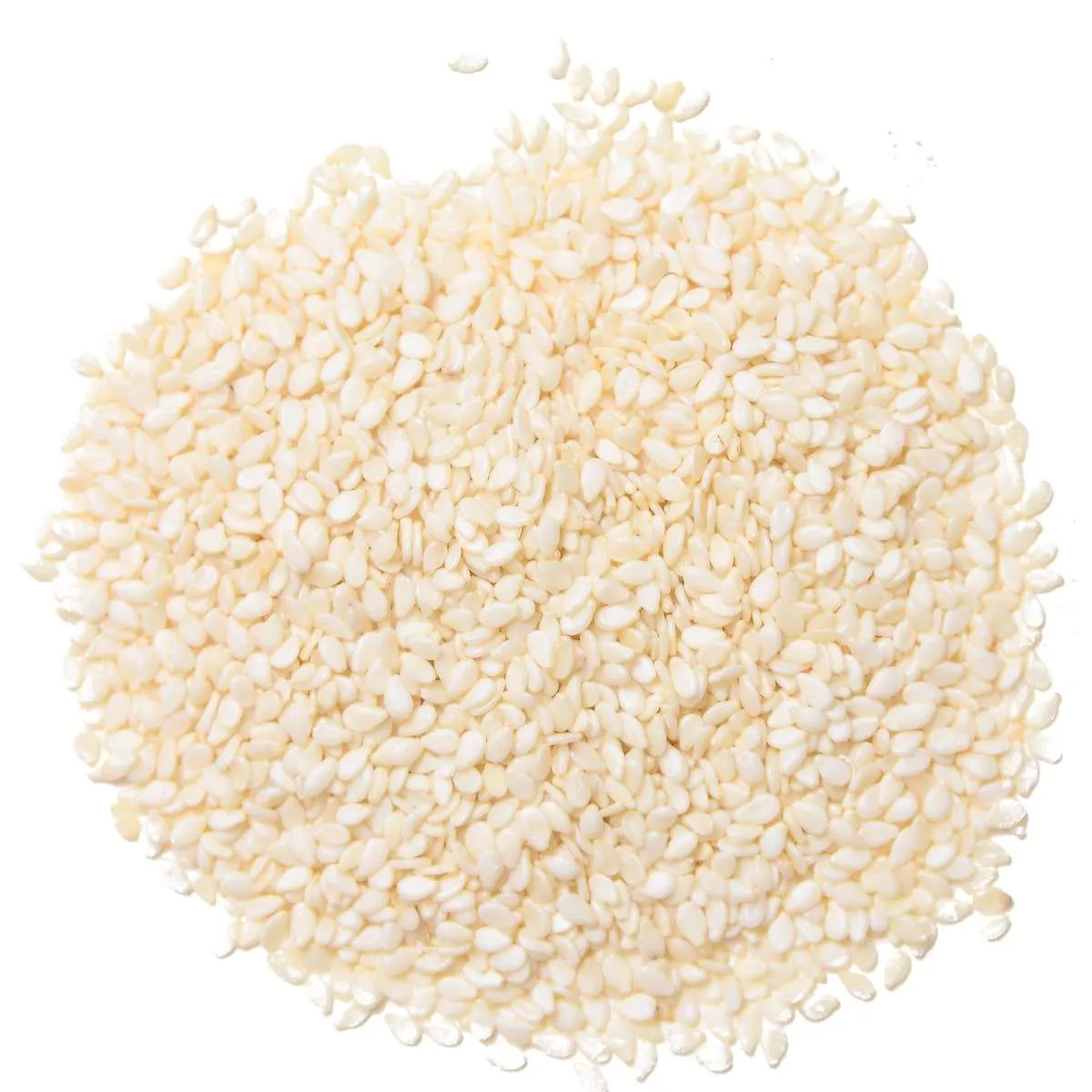 WHITE SESAME SEEDS