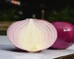 Onion