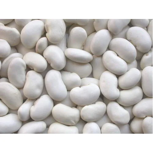 Large white Kidney Beans