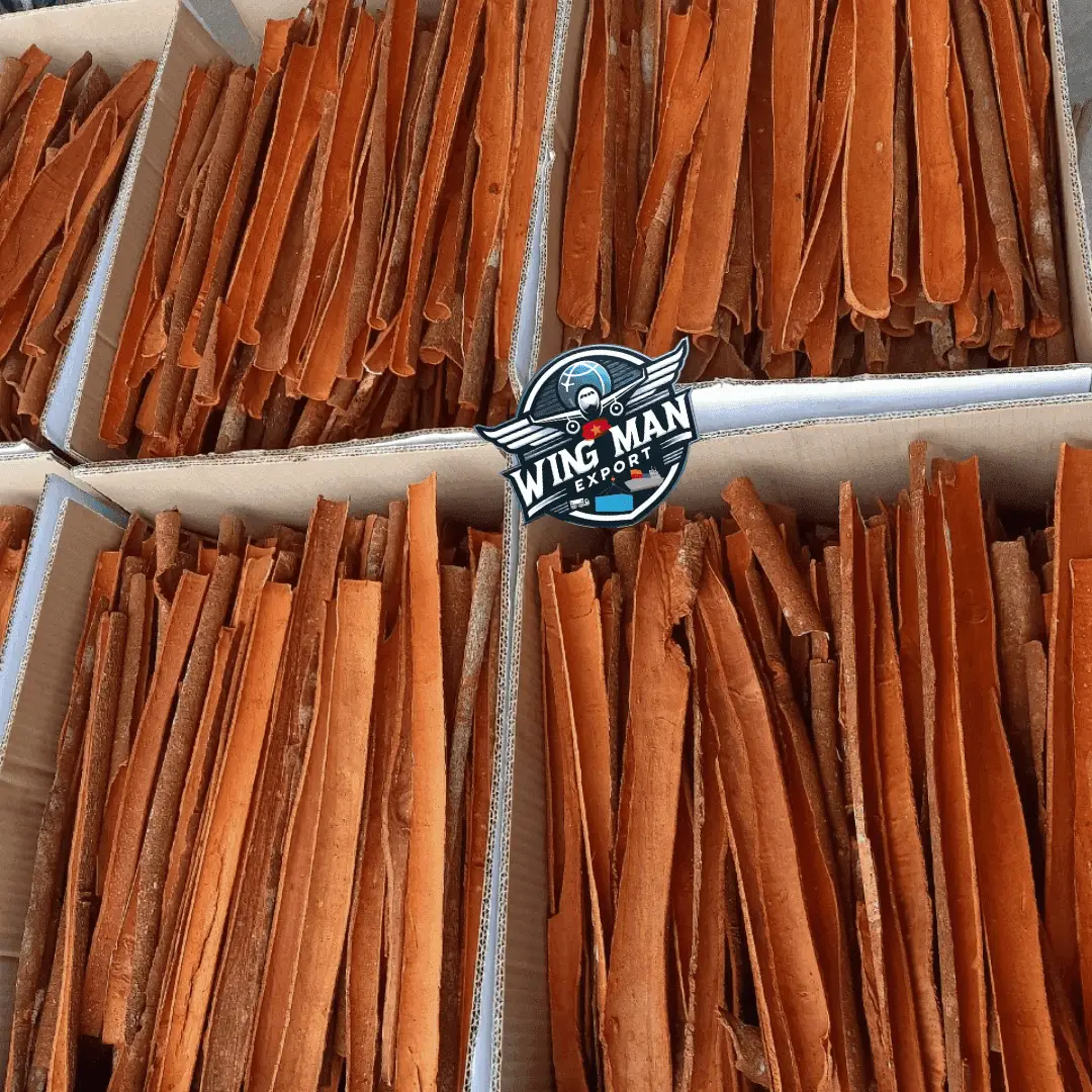 CASSIA-CINNAMON Split