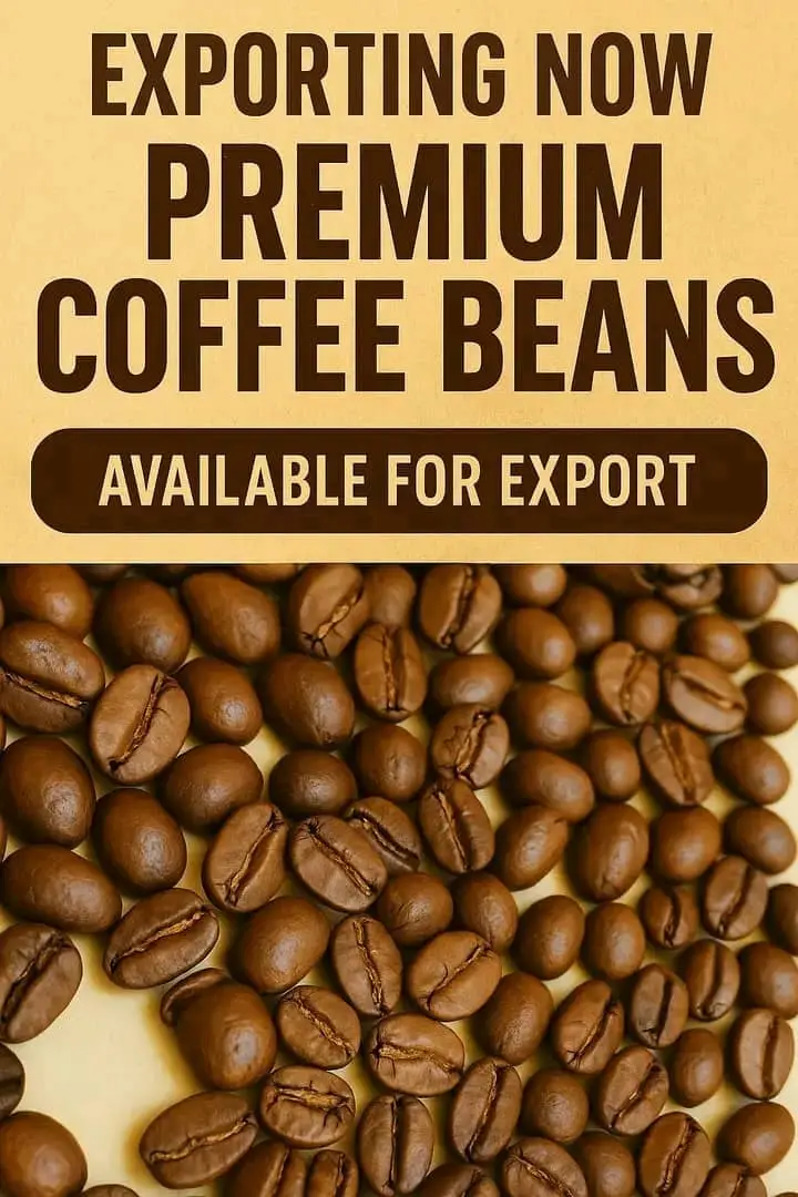Robusta Coffee beans