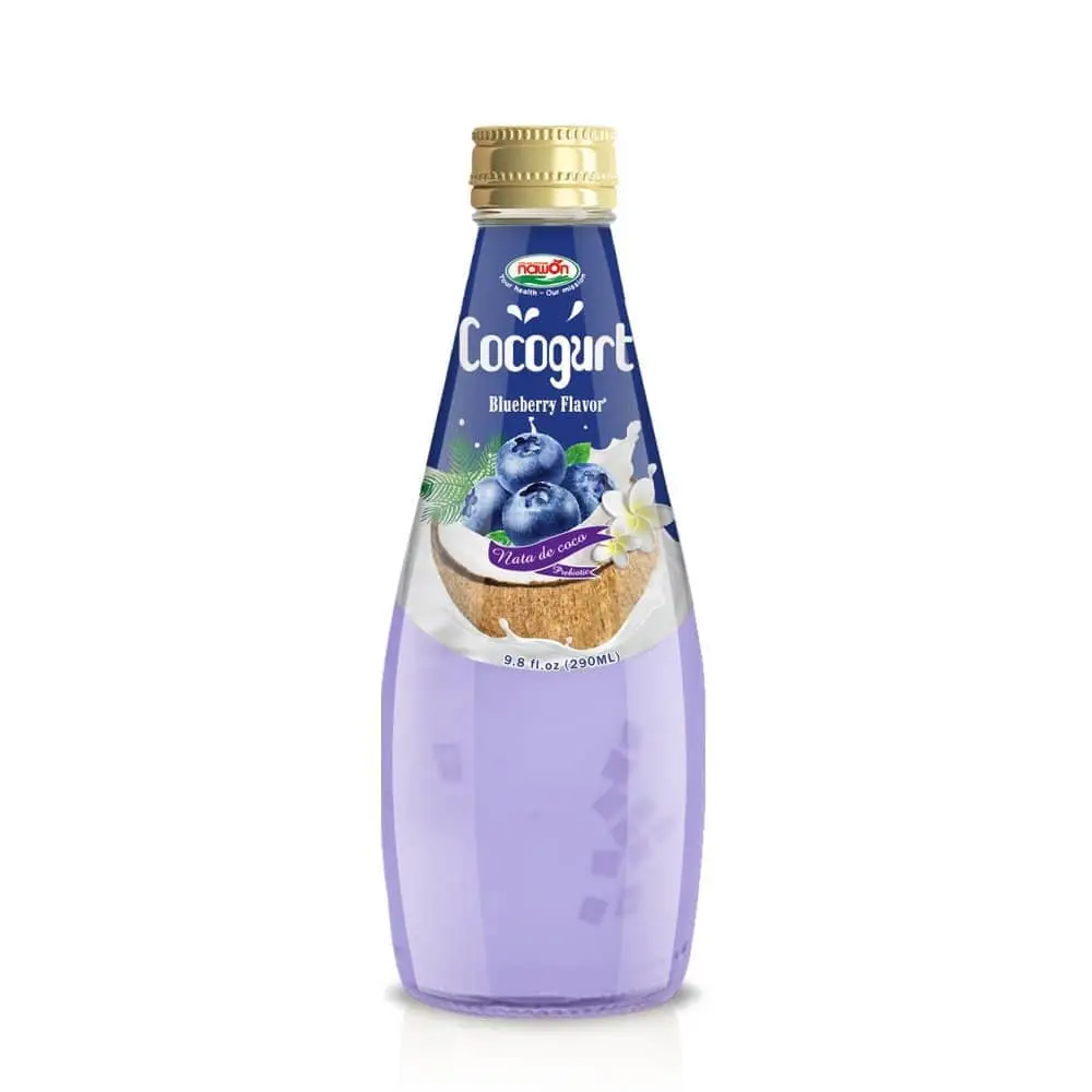 Wholesale 290ml Cocogurt Blueberry Flavor with Nata De Coco Best Soft Drink Glass Bottle OEM ODM Beverage Manufactur