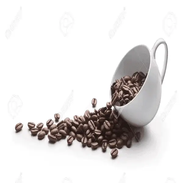 Best Quality Roasted Arabica Coffee Beans