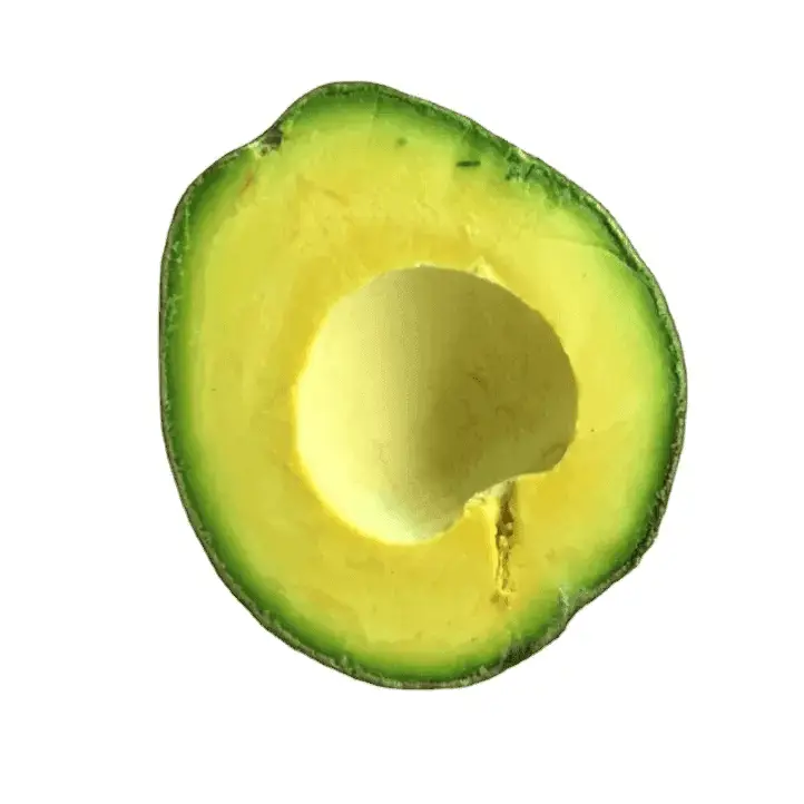 High Quality Kenyan Fuerte/hass Avocado