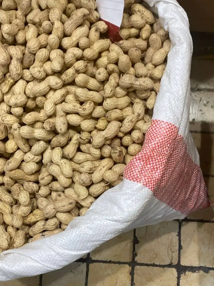 Organic Peanuts Grade A