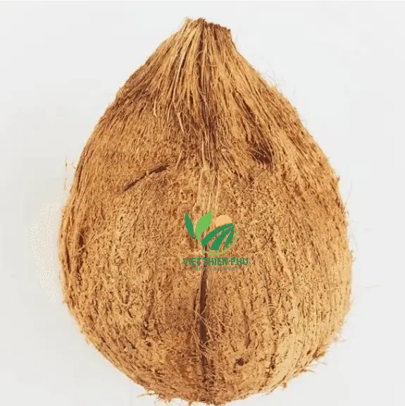 High Quality Semi Husked Coconut