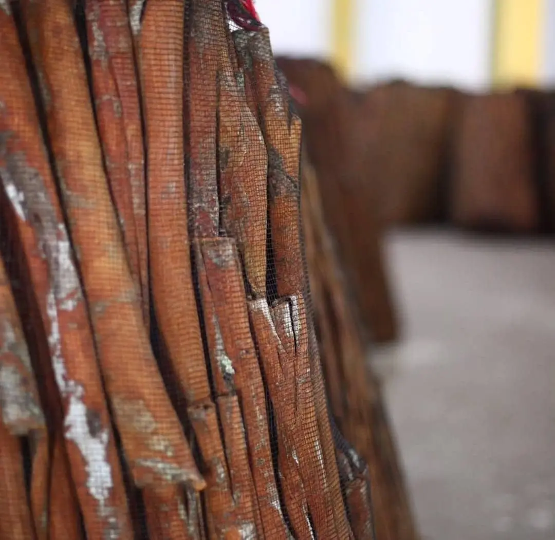 cinnamon stick, powder types cassia