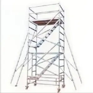Scaffold Ladder