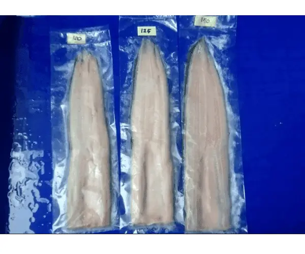 Fillet eel, unagi kabayaki