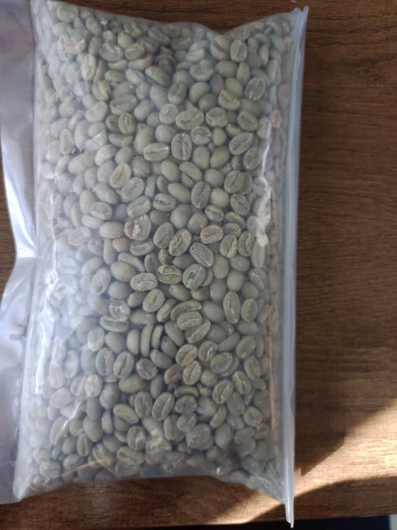 Arabica Coffee Bean