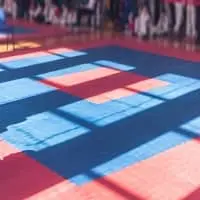 Judo Mats