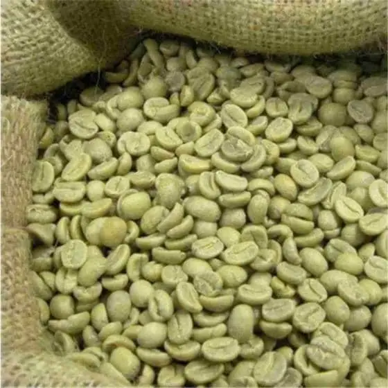 Robusta Coffee Beans and Arabica Coffee Beans