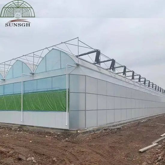Cambodia Customer Agricultural Greenhouses for Sale