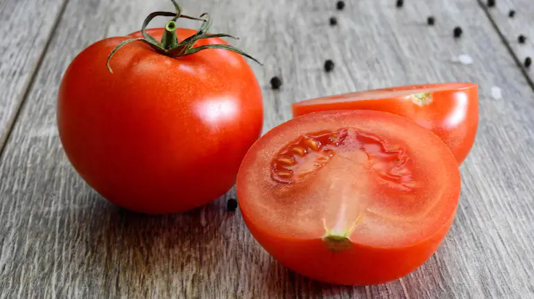 Tomato