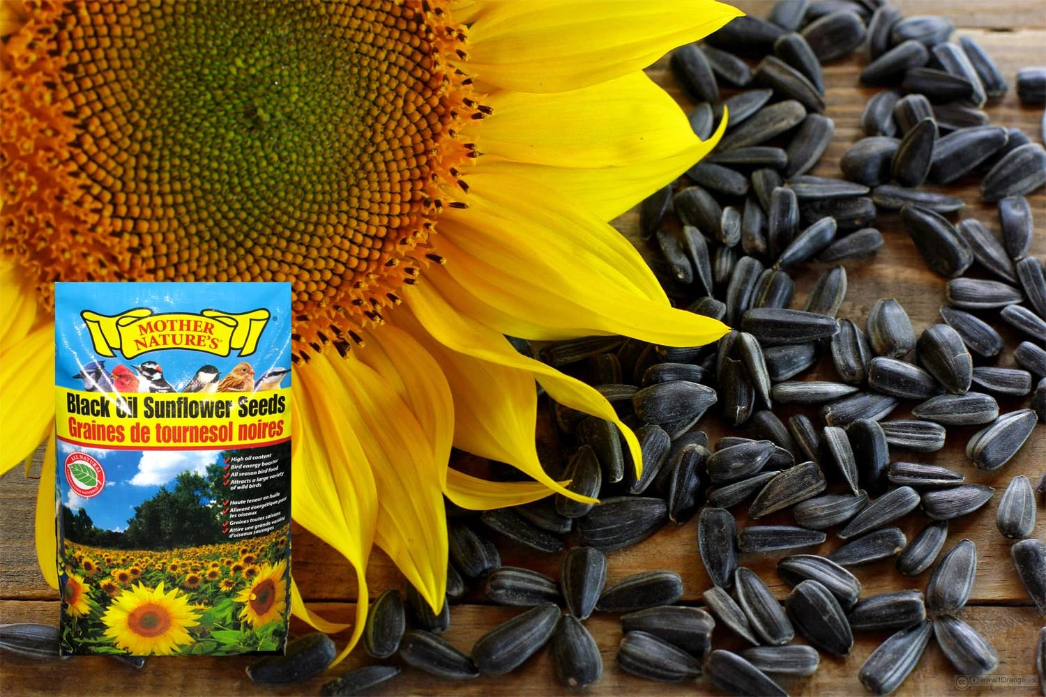 Black Sunflower Seeds