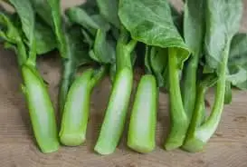 Fresh Kailan (Chinese Kale) – Malaysia Wholesale Supplier