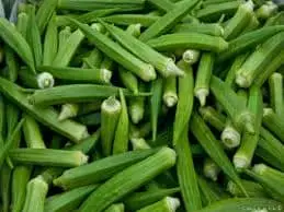 Fresh Lady Finger (Okra) – Malaysia Wholesale Supplier