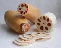 Fresh Lotus Root – Malaysia Wholesale Supplier