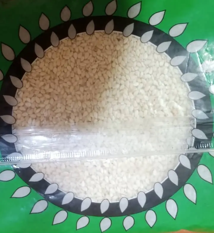 Sesame seed