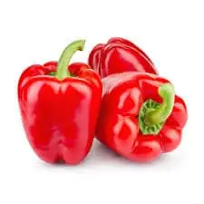 Fresh Red Capsicum – Malaysia Wholesale Supplier