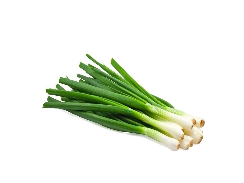 Leek