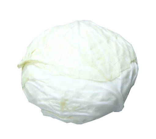 Round Cabbage