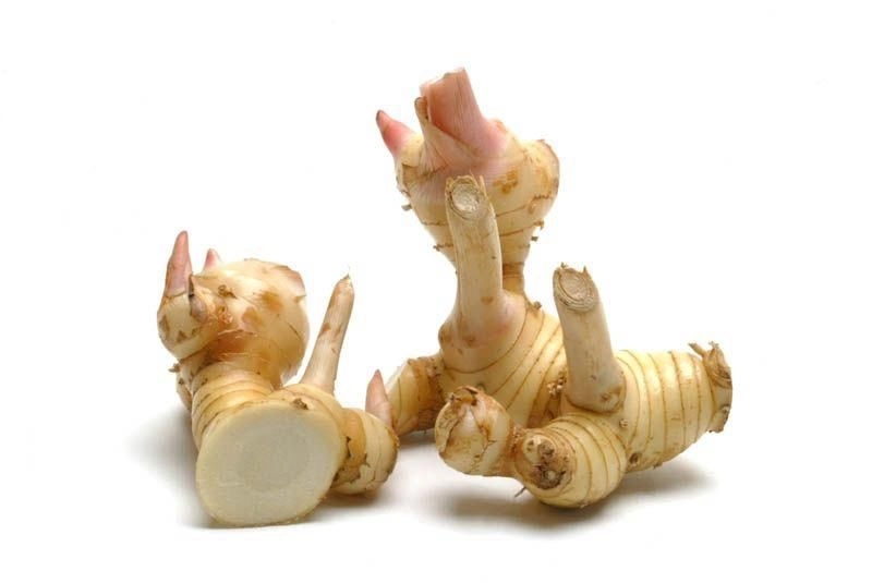 Galangal Root