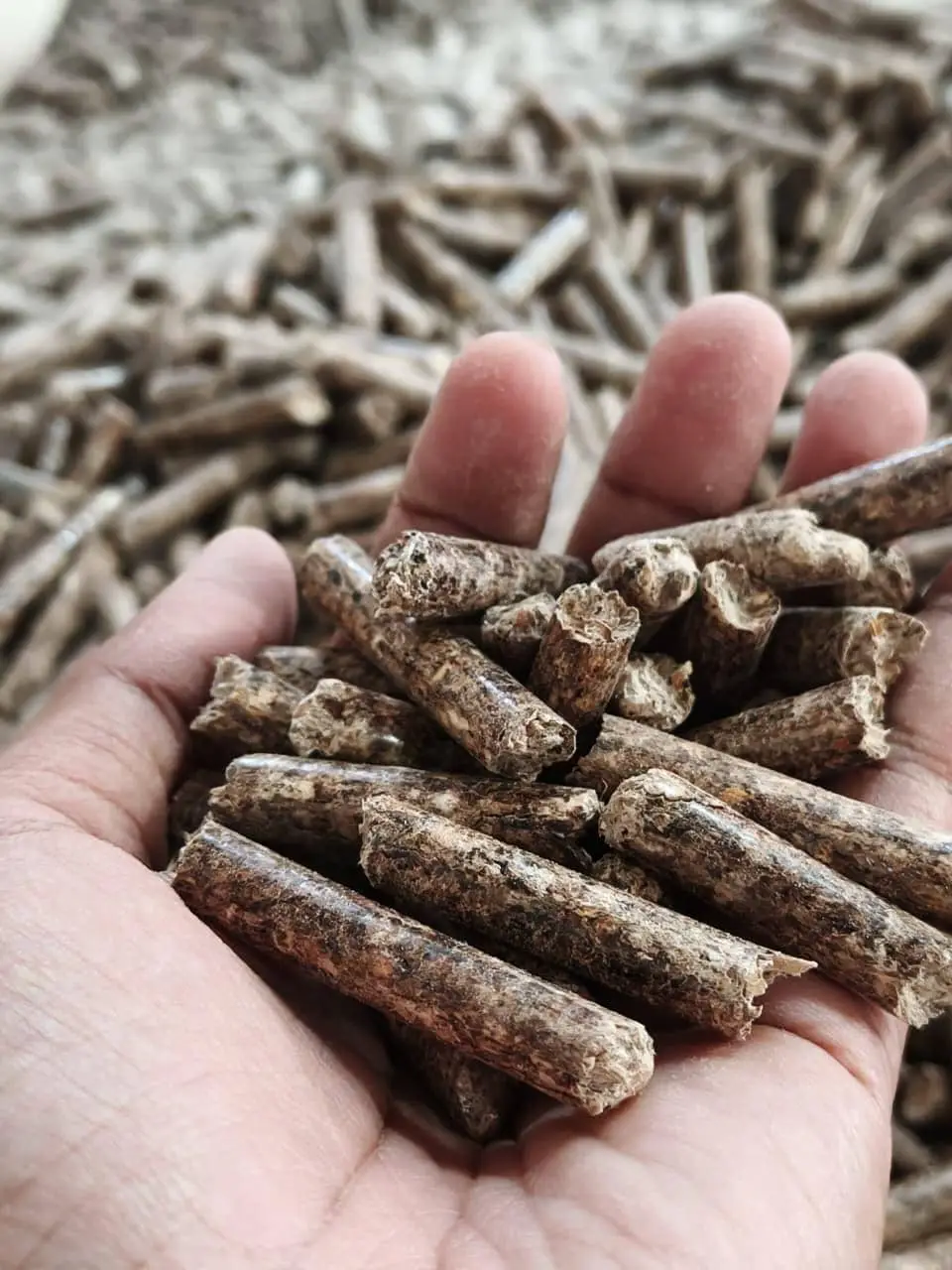 Wood Pellets