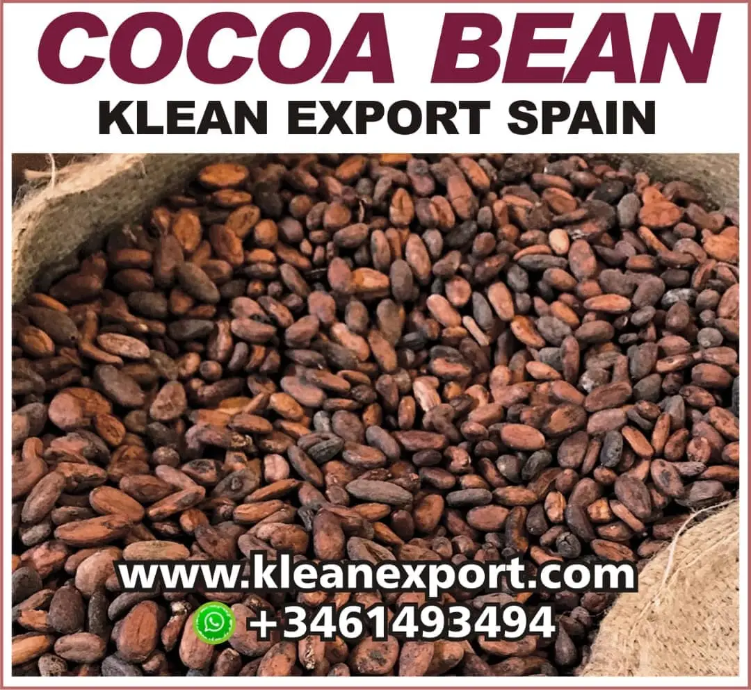 Cocoa Beans