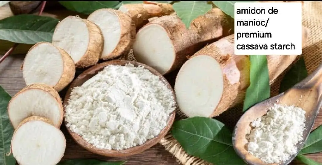 Cassava starch