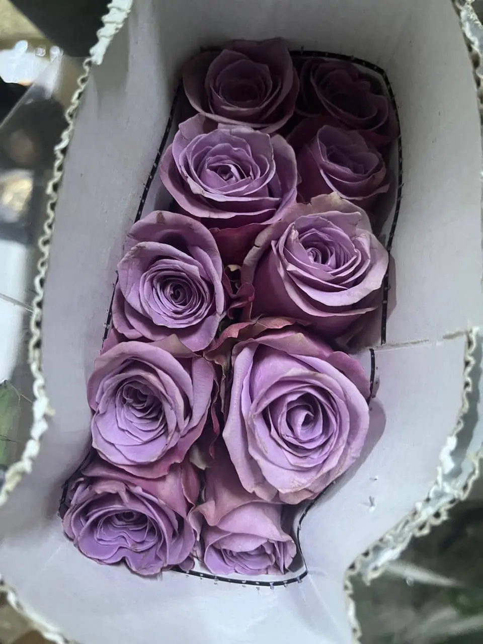Purple Rose