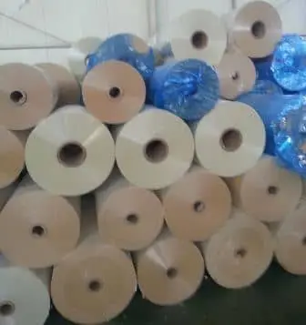 Polyester Film