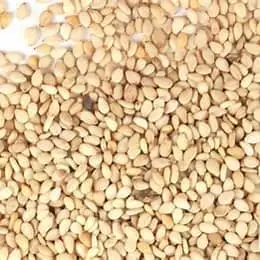 Sesame seeds