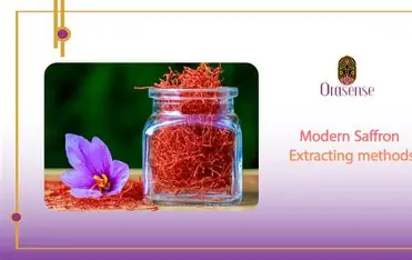 Saffron extraction