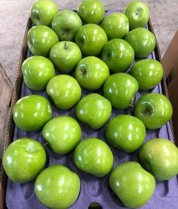 GRANNY SMITH
