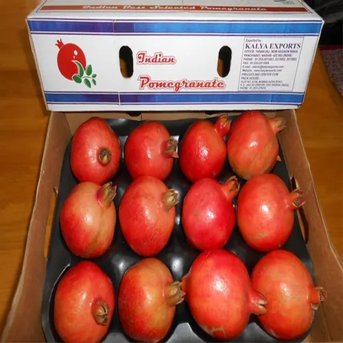 Bhagwa Pomegranate Export – Premium A-Grade Supplier from India