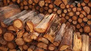 hardwood logs Ash