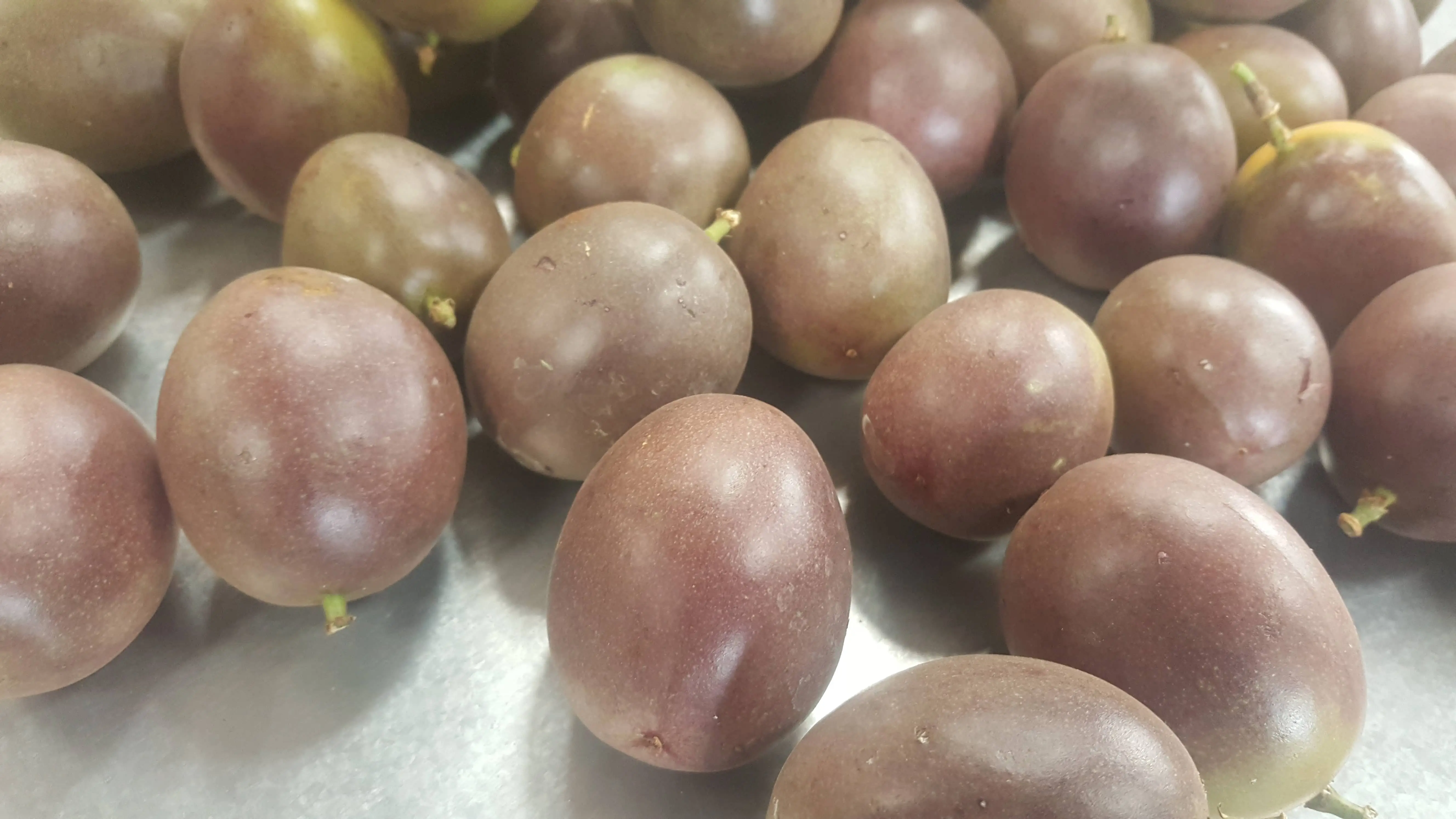 Passion fruits