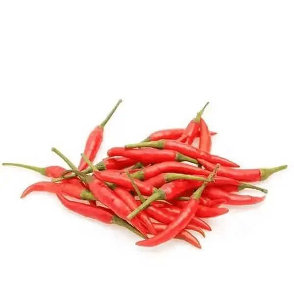 Export Quality Fresh Chili Peppers for Food Processing, Wholesale Distribution & Bulk Trade Supply