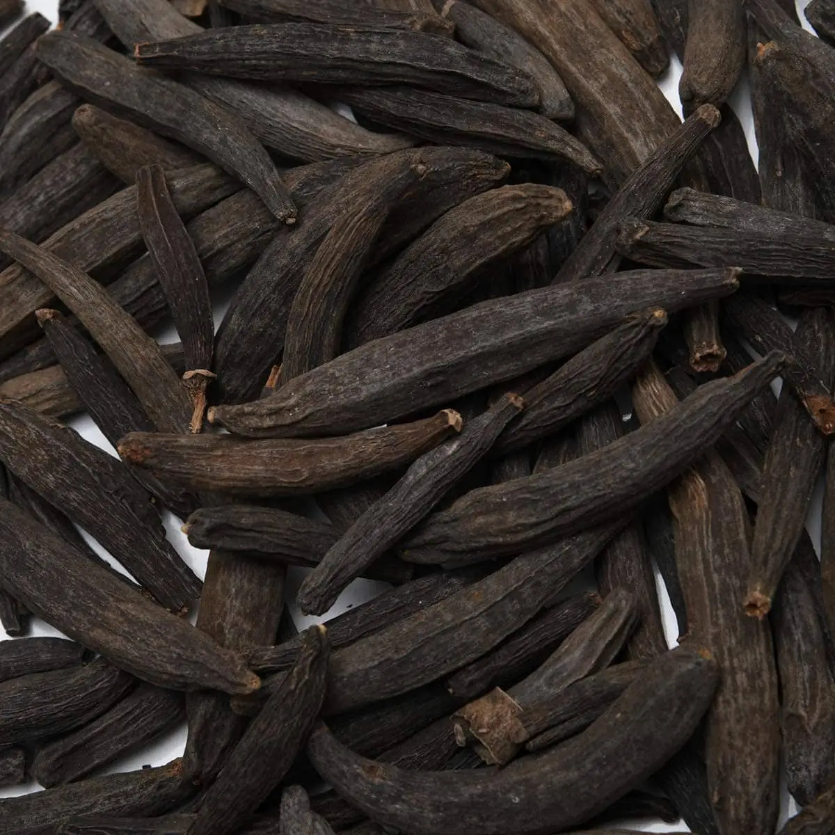 Marathi Moggu (Kapok Buds) Supplier from India