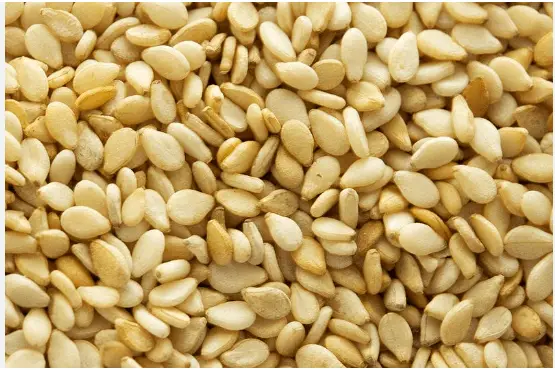 Sesame Seed