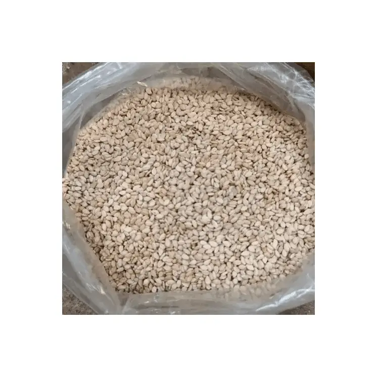 High Quality White Hulled Sesame Seeds