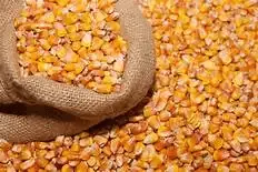 Dried Yellow Corn for Popcorn Corn