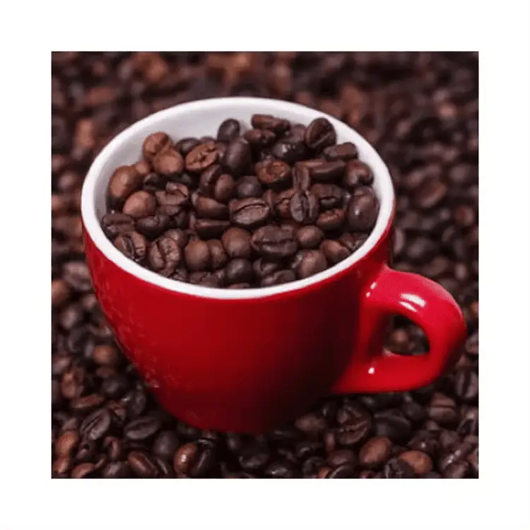 CASSIA - CINNAMON BROKEN