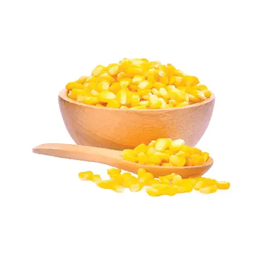 Hot selling high-quality large particle yellow Corn
