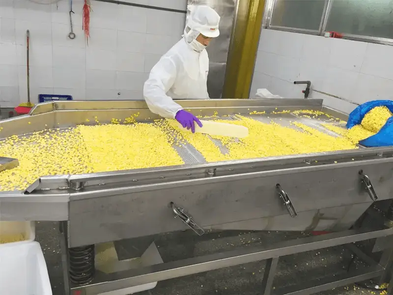 High Quality Non GMO Yellow corn