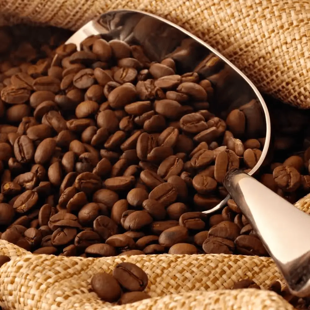 #Wholeale Cheap Arabica Coffee Beans
